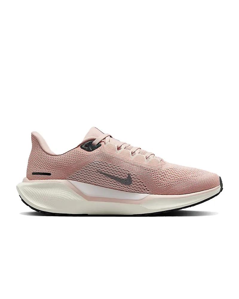 Women's Nike Pegasus Premium 41